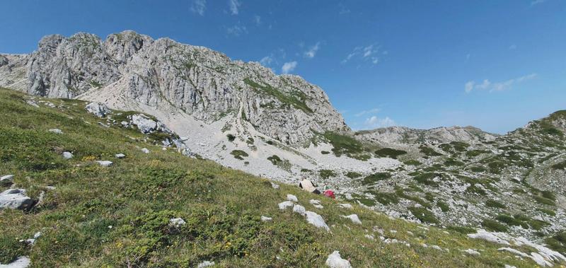 er Terminillo: la Nigritella widderi e altre orchidee sulla montagna di Roma.